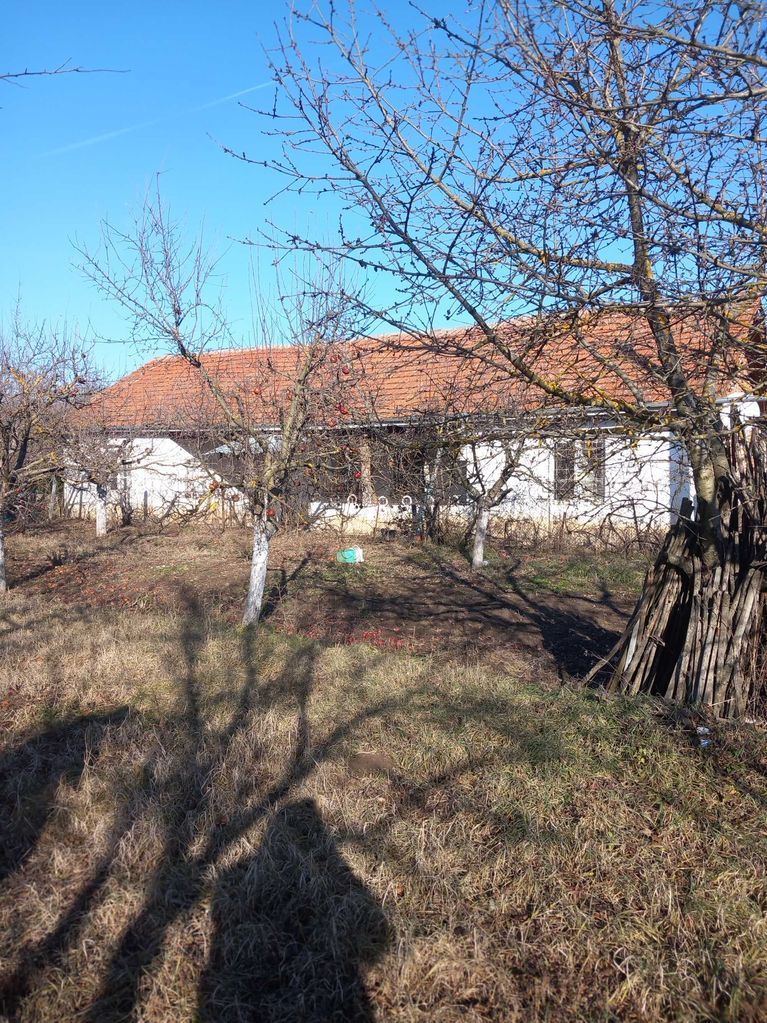 Продава се Парцел в с. Шишковци, Област Кюстендил - 1650 кв.м за 37 €/кв.м - Снимка #2