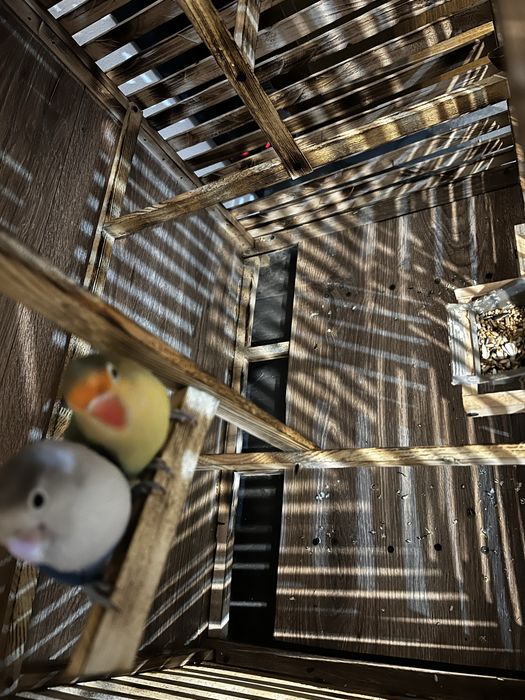 Colivi de vânzare pe orice dimensiuni