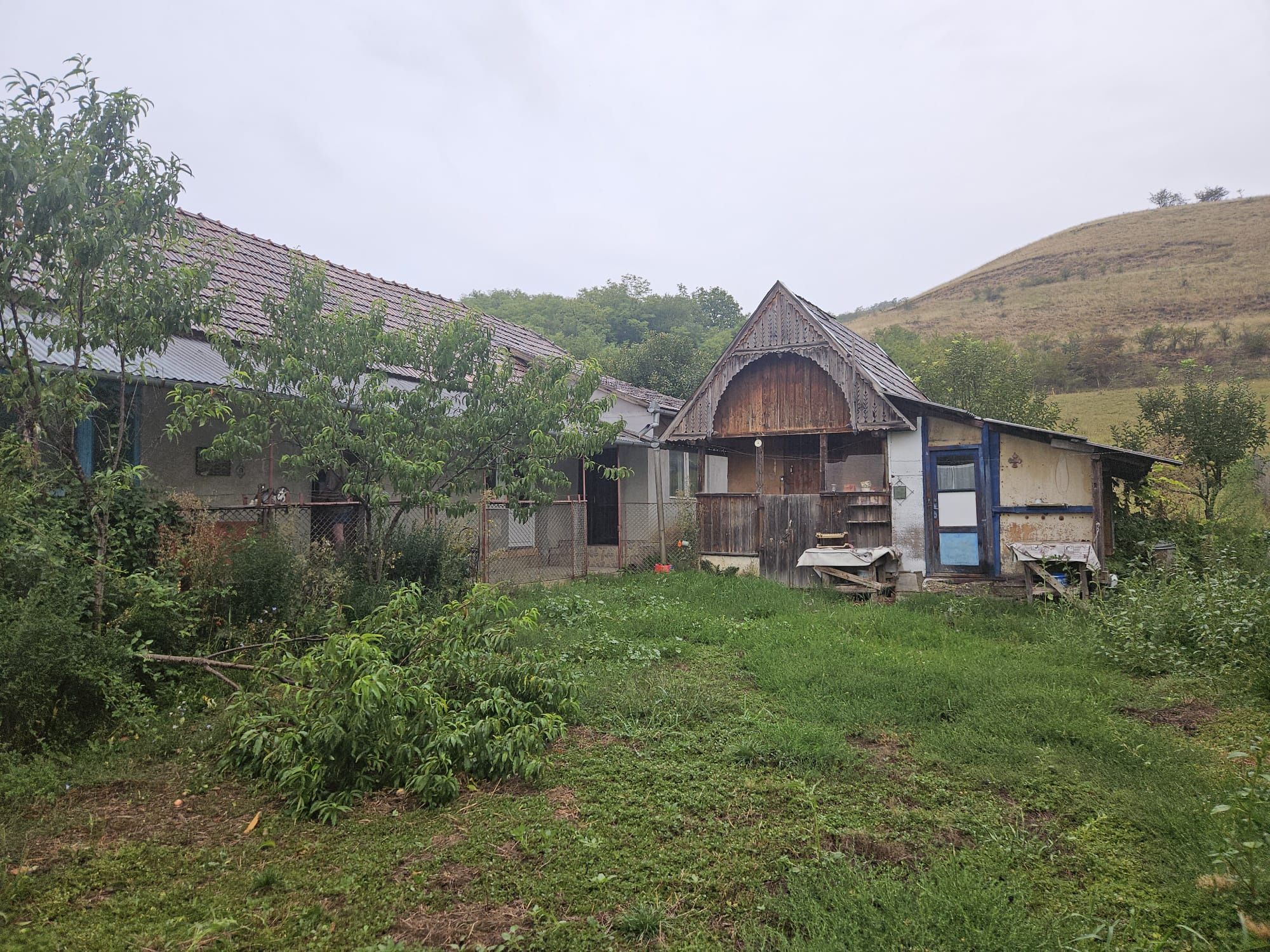 Vind casă com Caianu