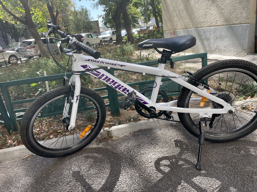 Bicicleta Pegas Mini Drumet 20” copii