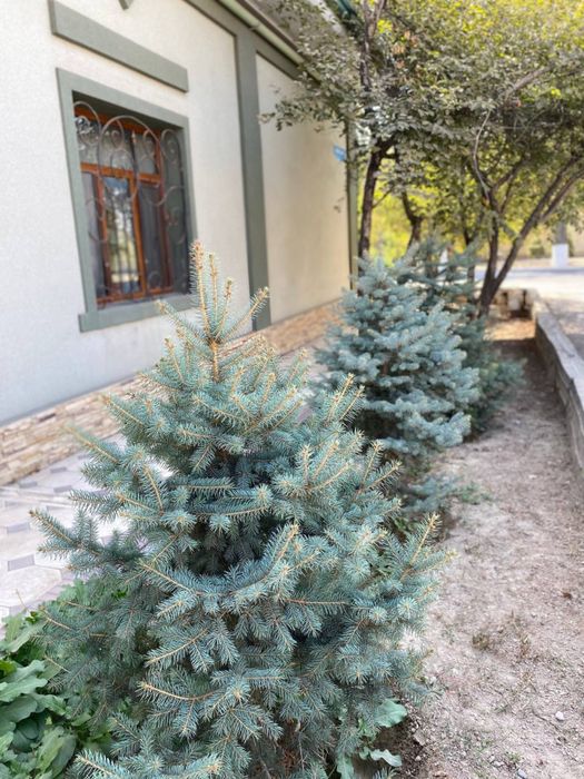 Лучшая локация для проживания!! Отличные соседи!