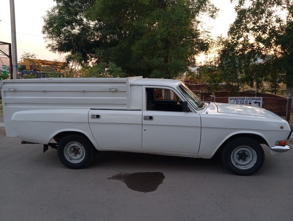Volga pikab sotiladi