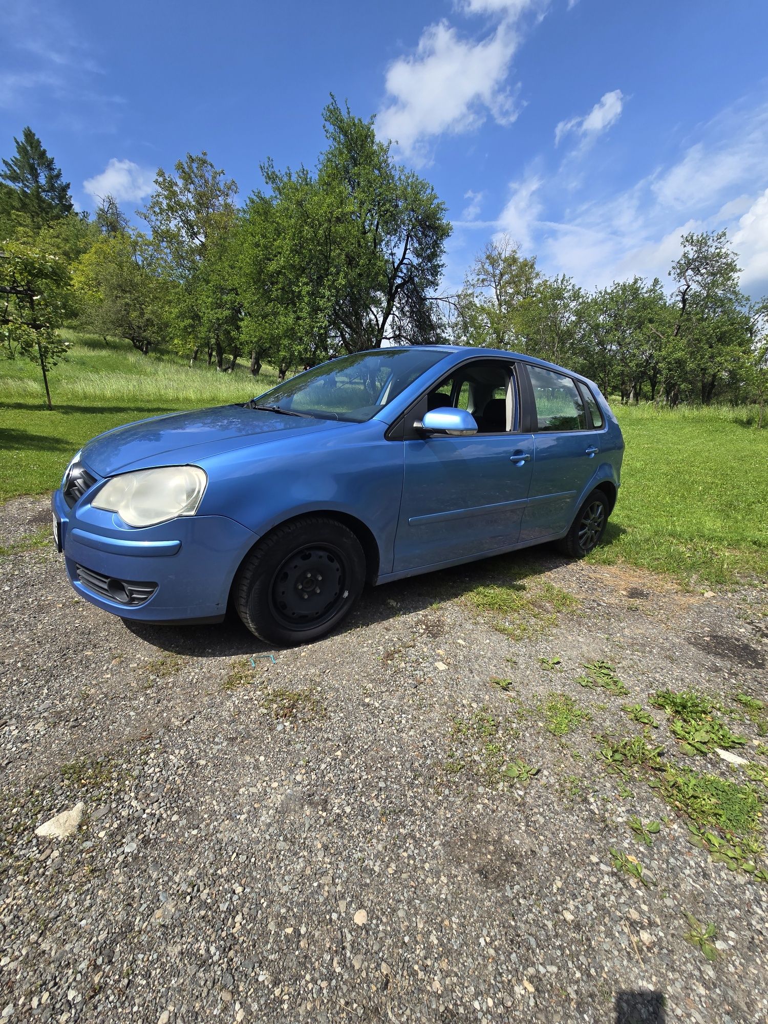 Volkswagen Polo.