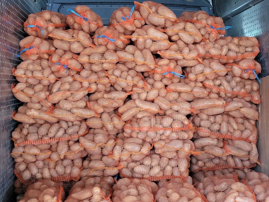 Cartofi cu miez galben ,