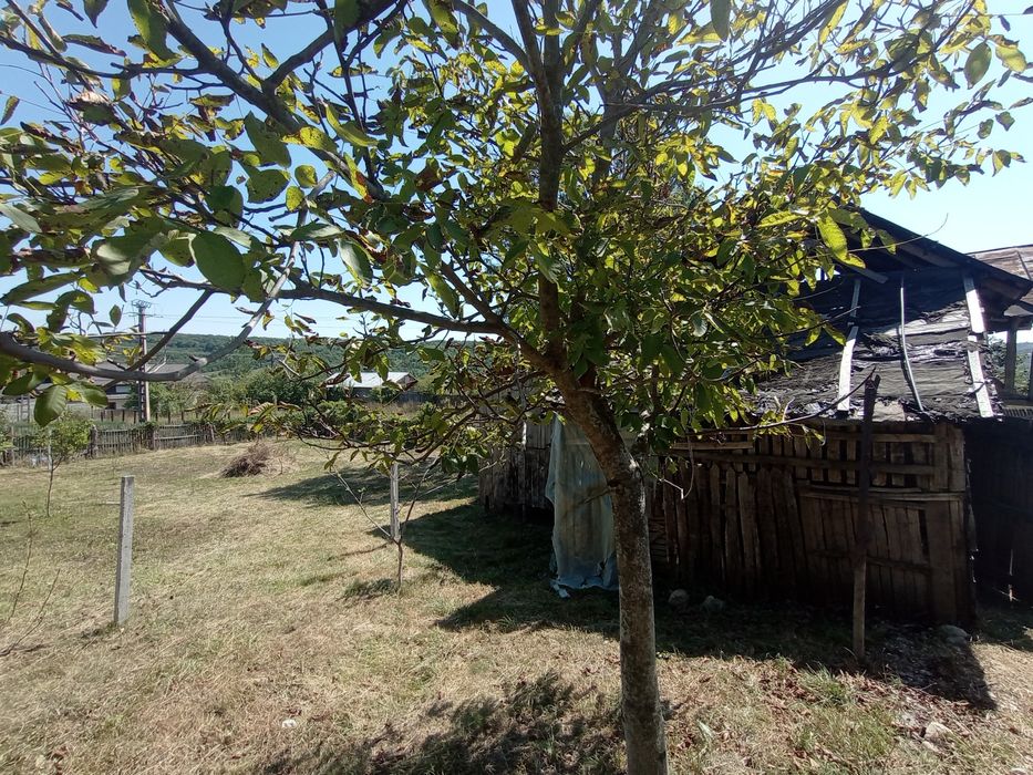 Casă batraneasca nelocuibilă