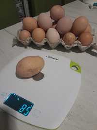 Яйца домашни от Супер Харко и Ломан Браун
