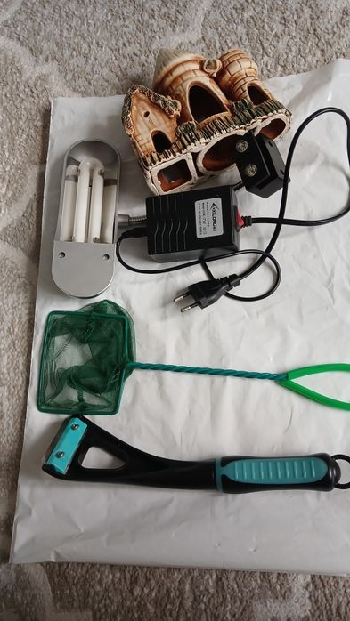 Продам или обмен на рыбок