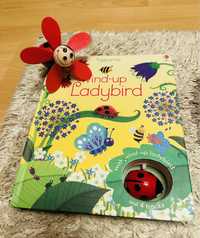 Carte copii Wind-up Ladybird