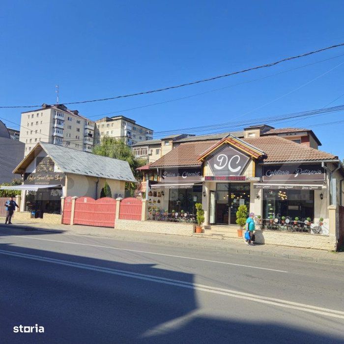 Oportunitate Unica  Vila de Vis in Zona Centrala si doua spatii comerc