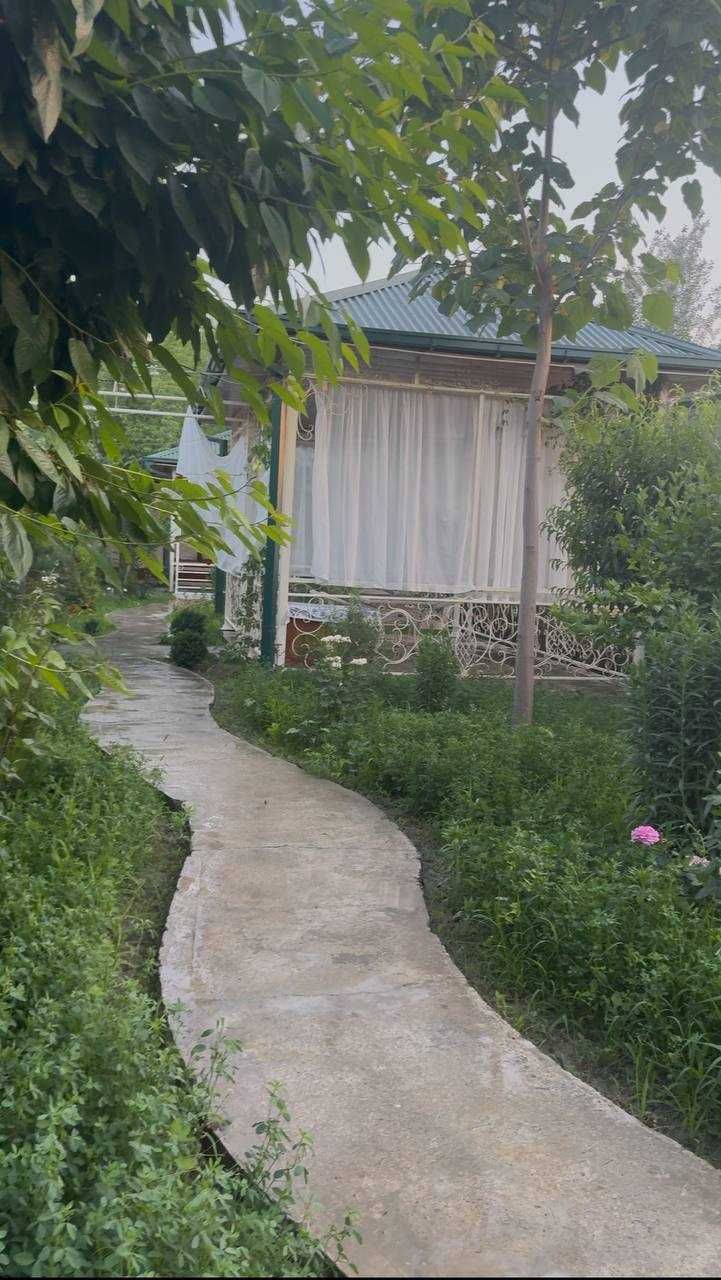 Dacha Malina – eng yaxshi dam olish maskani!