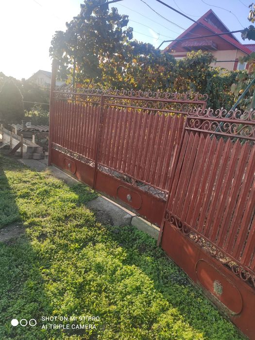 Vând gard ornamental Maro