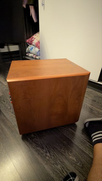 Focal 10 inch subwoofer