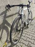 Single Speed Custom
