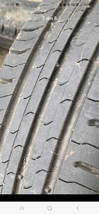 Avelope vara continental