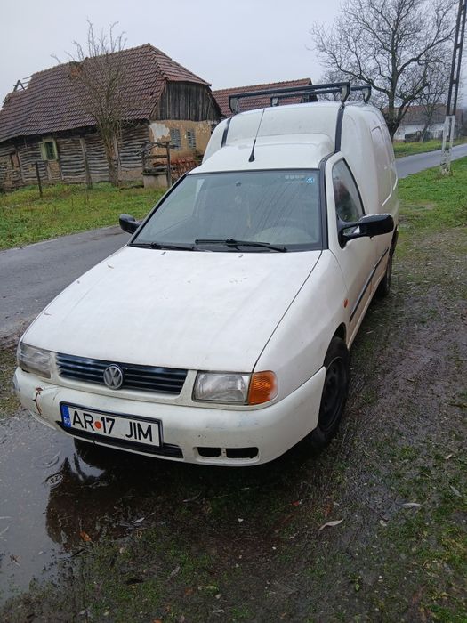 Vând kedi wolzvaghen