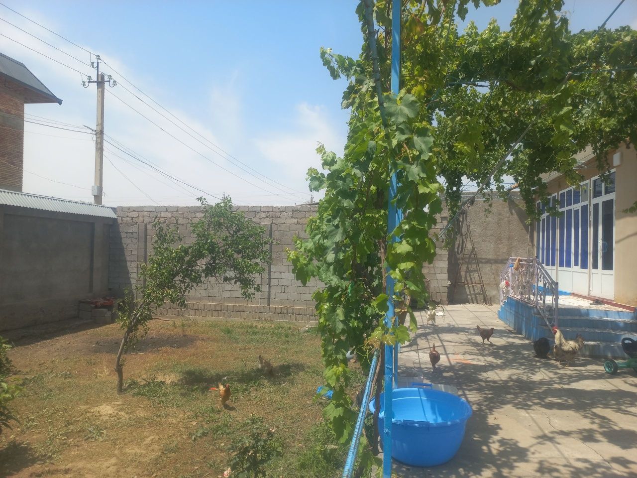 Ilonhona MFE 3 sotxli uyni 2 sotihi sotiladi manzil almaz market orqas