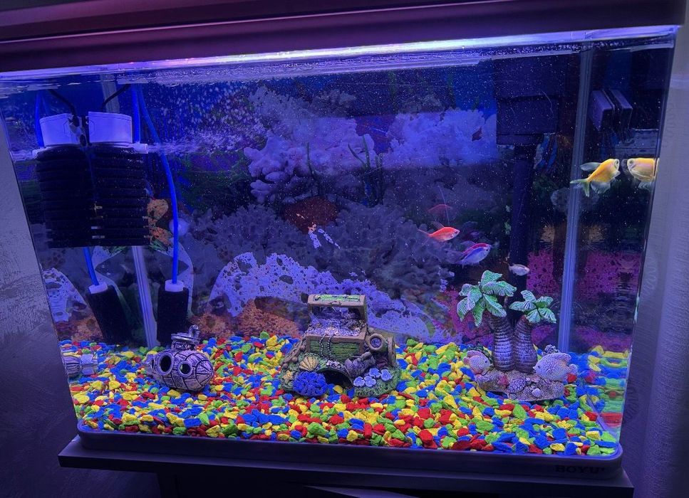 Acvariu cu comoda incorporata