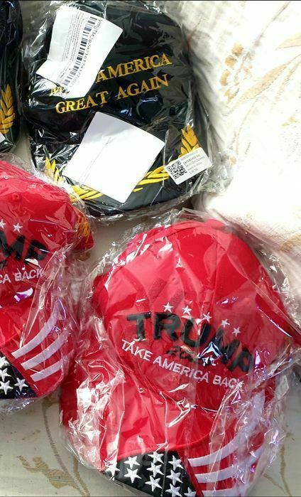 Sepci si fesuri Donald Trump