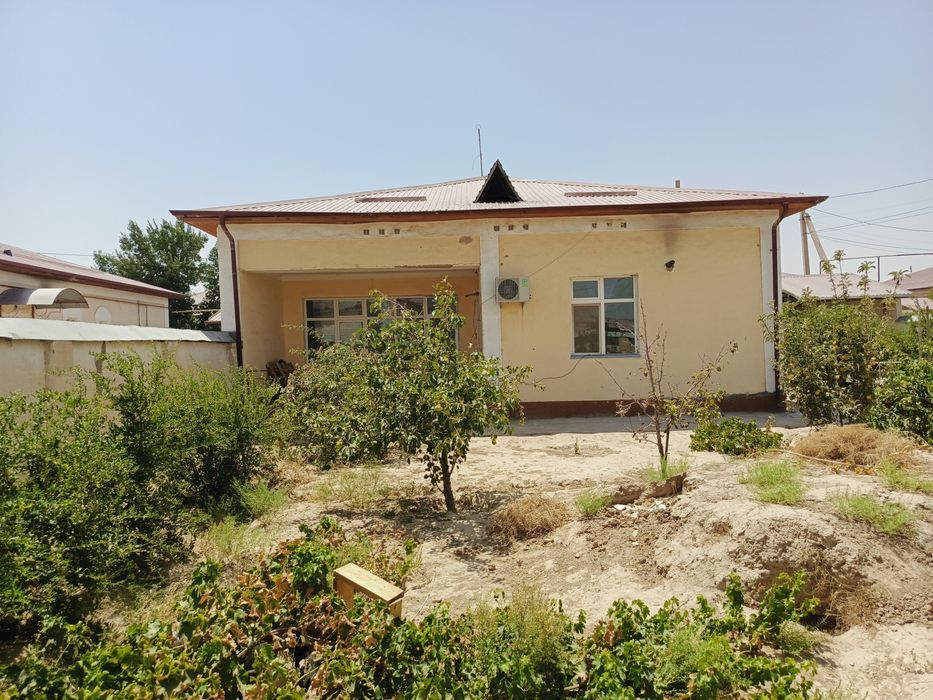 Guzor kotej/Гузор котеж/Kotej/Katej/катеж