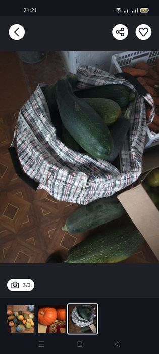 Продам кабачки домашние