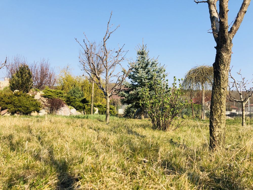 Vând Teren cu Casa 4000m2 Munteni Jos