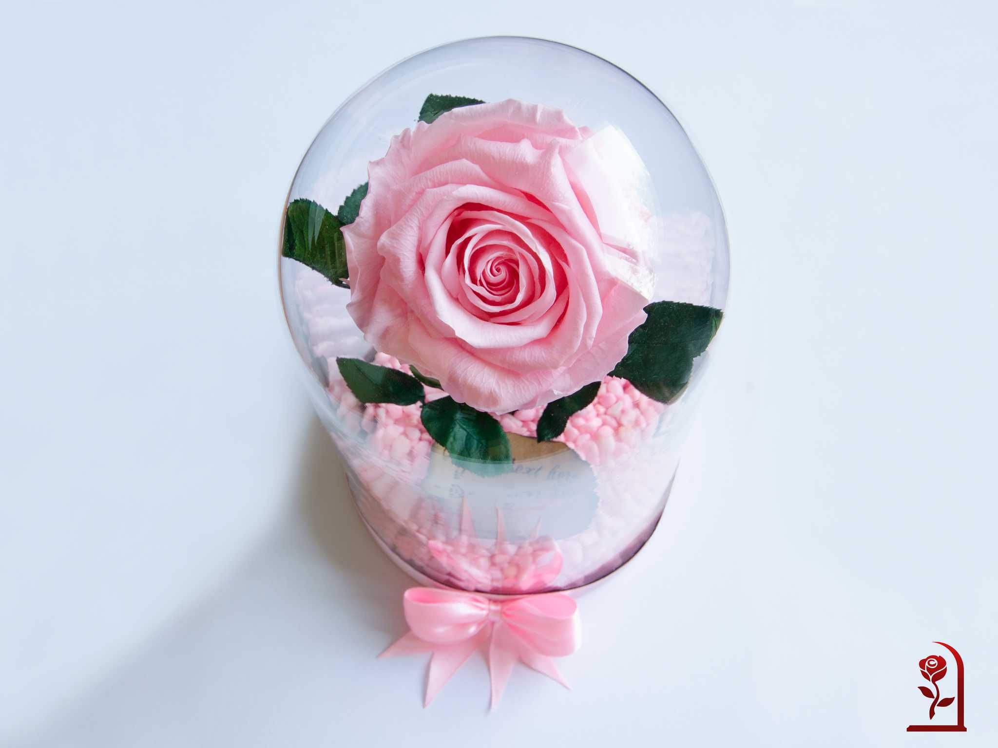 Розова Вечна Роза в Стъкленица / Романтичен Подарък за Жена или Момиче