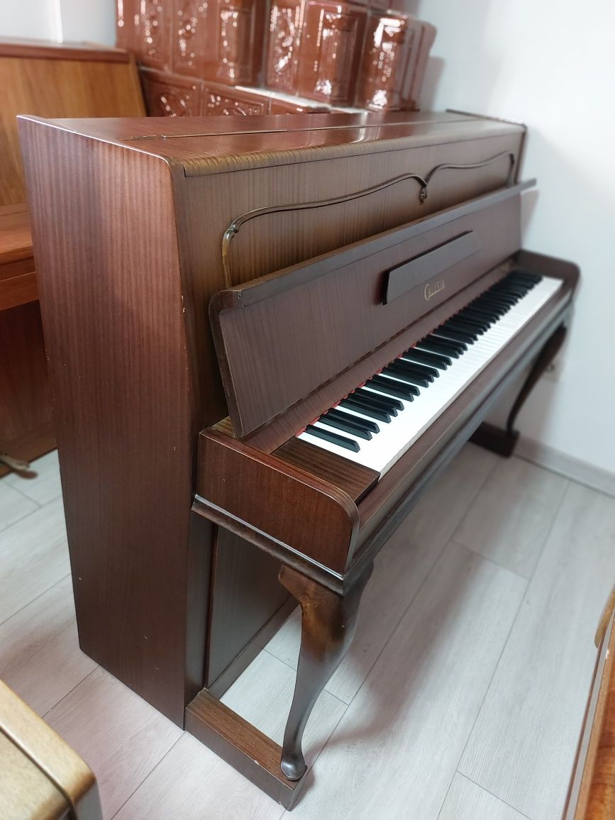 Pianina Calisia ( transport gratuit, garanție)