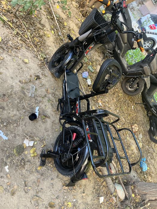 Mingto monistr russia