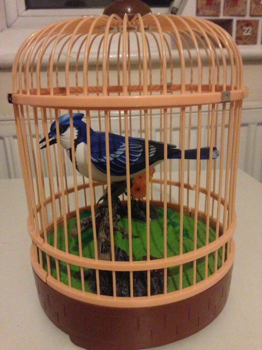 Cușca cu pasare simulator electric