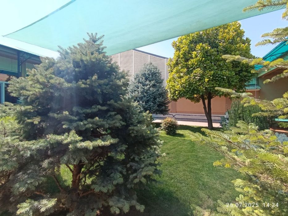 6 sotix uchastka yunusobod