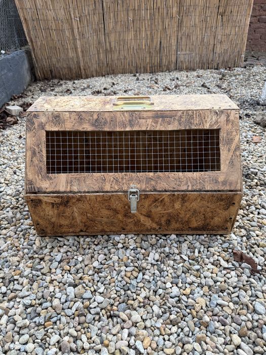 Cutii de transport iepuri