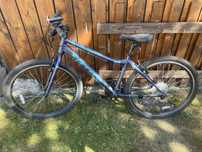 Bicicleta carrera Axle ltd