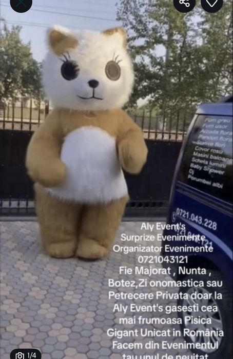 Bebelușii Gigant pentru Evenimente