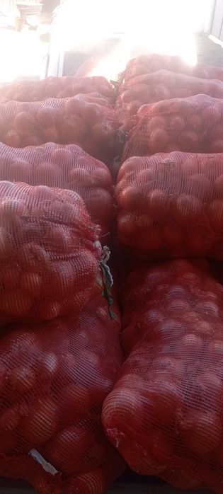 Продам лук сортовой сухой