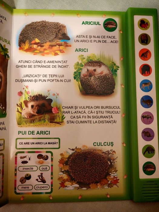 carte cu sunete Vocile Padurii