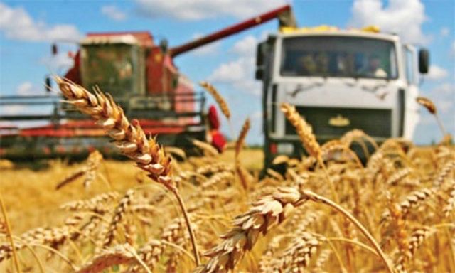 Продам КХ ФХ Сельхоз Бизнес+ЖД ТУПИК+Лошади+Ресторан