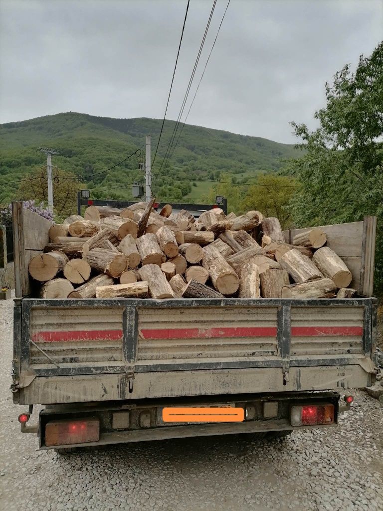 Vand lemne de foc stejar sau fag, atenție prețul depinde de zona