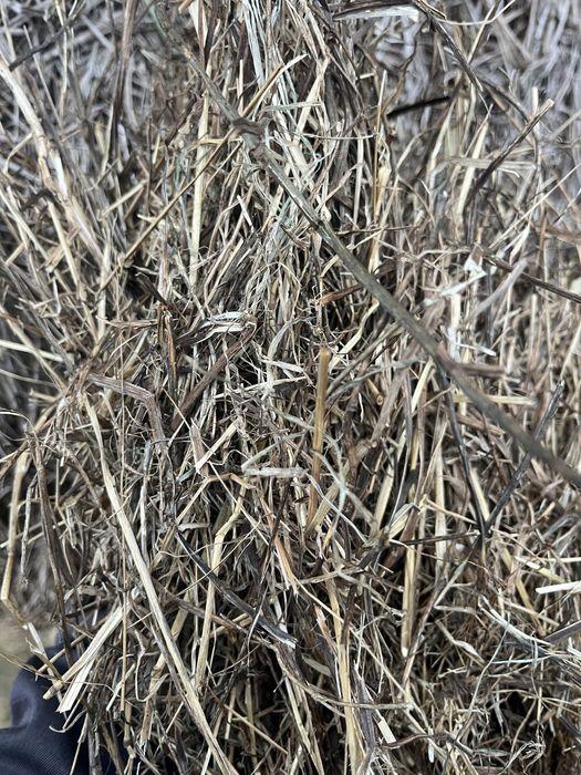 Vand baloti dreptunghiulari