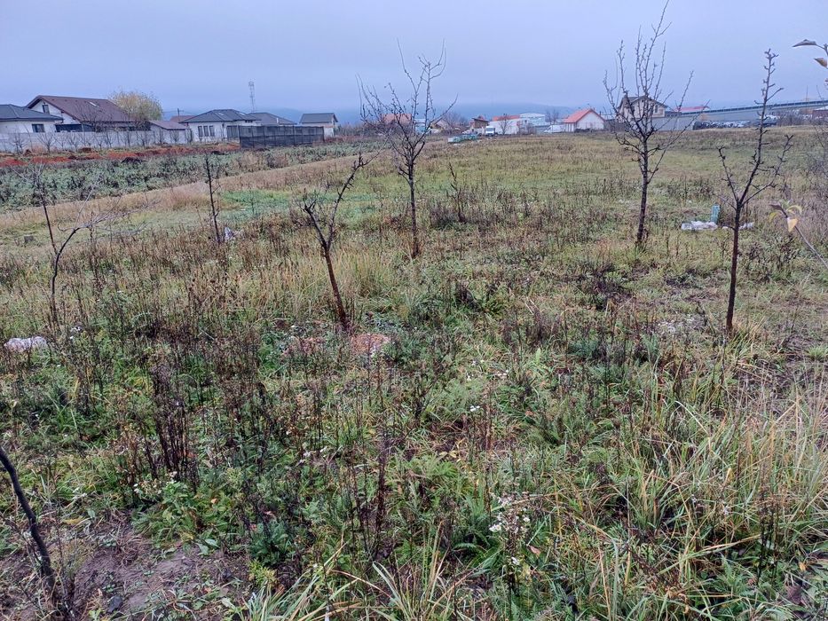 Casă de vânzare Orsohei Oradea