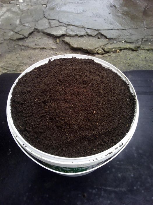 Продаю биогумус сухой оптом