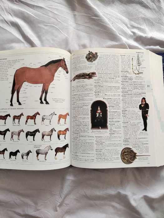 Иллюстрированный НОВЫЙ  словарь английского языка OXFORD