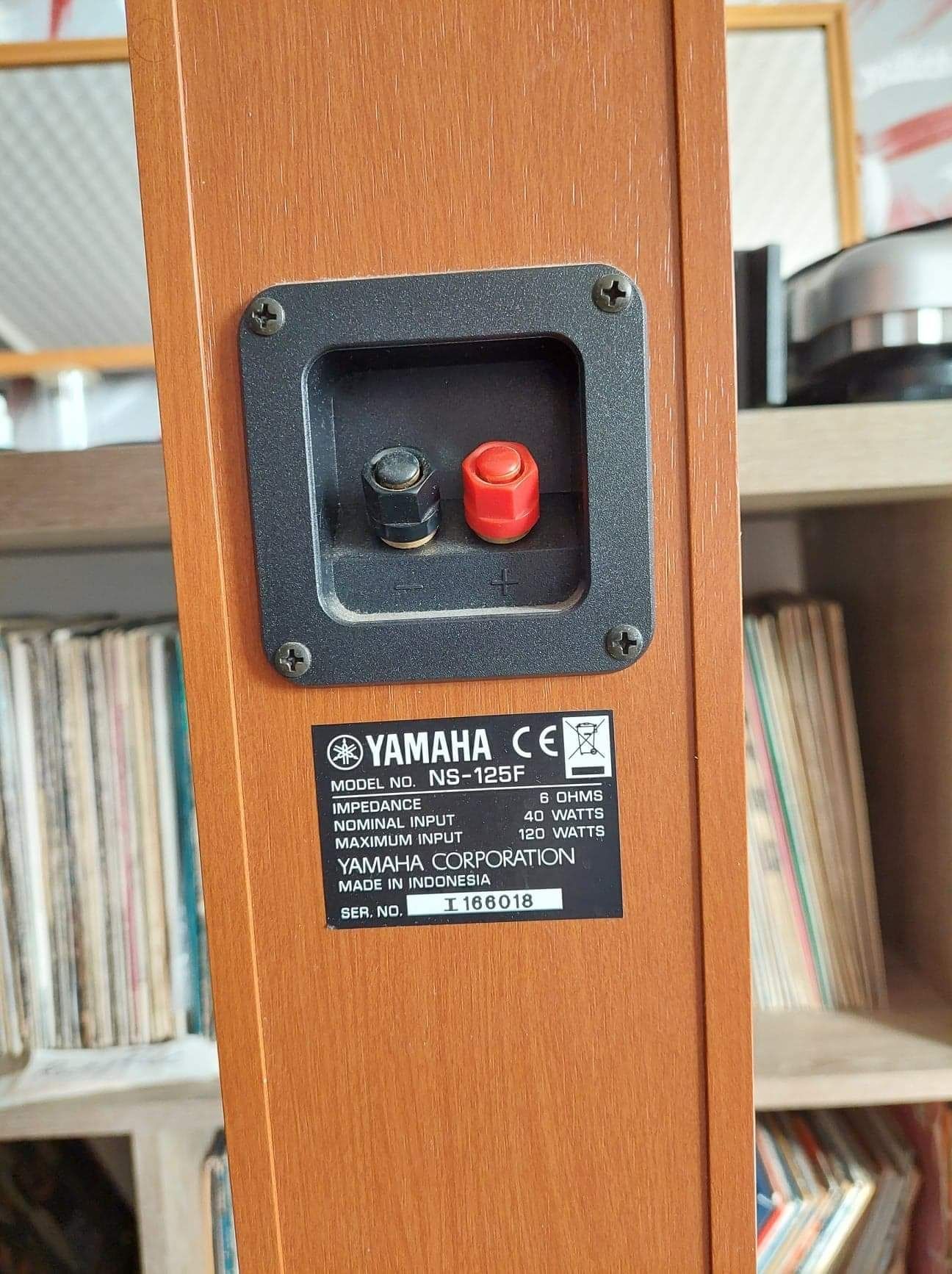 Sistem audio Yamaha RX-V359/NS-125F