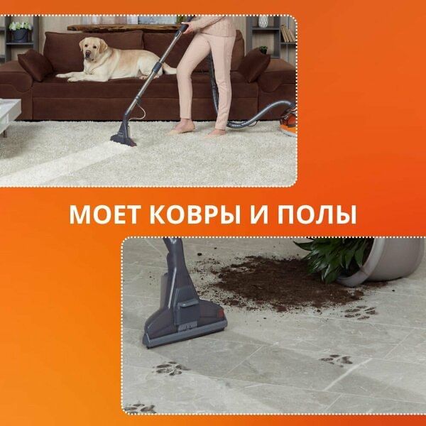 Моющий пылесос для дома Thomas Pet&Family Plus