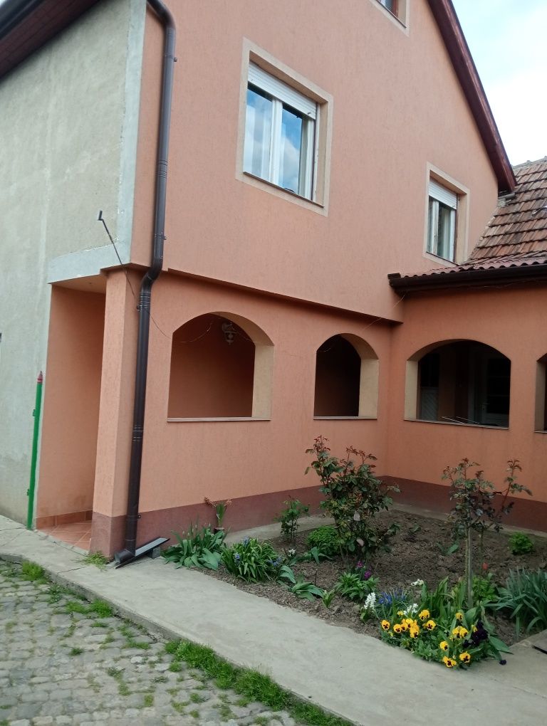 Vând casă familială în Biharia