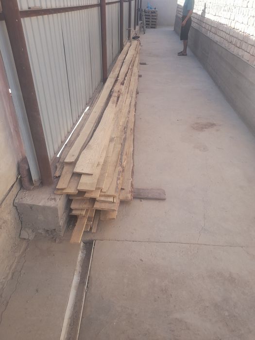 Отындык агаштар бар