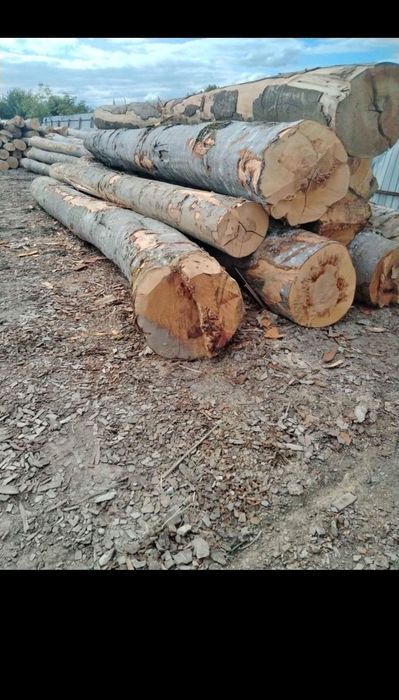 Vand lemne de foc esente tari mai multe detali  in privat