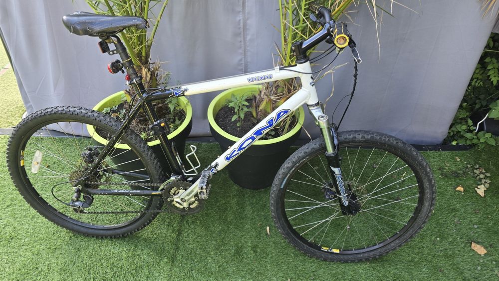 Bicicleta Adulti kono nunu