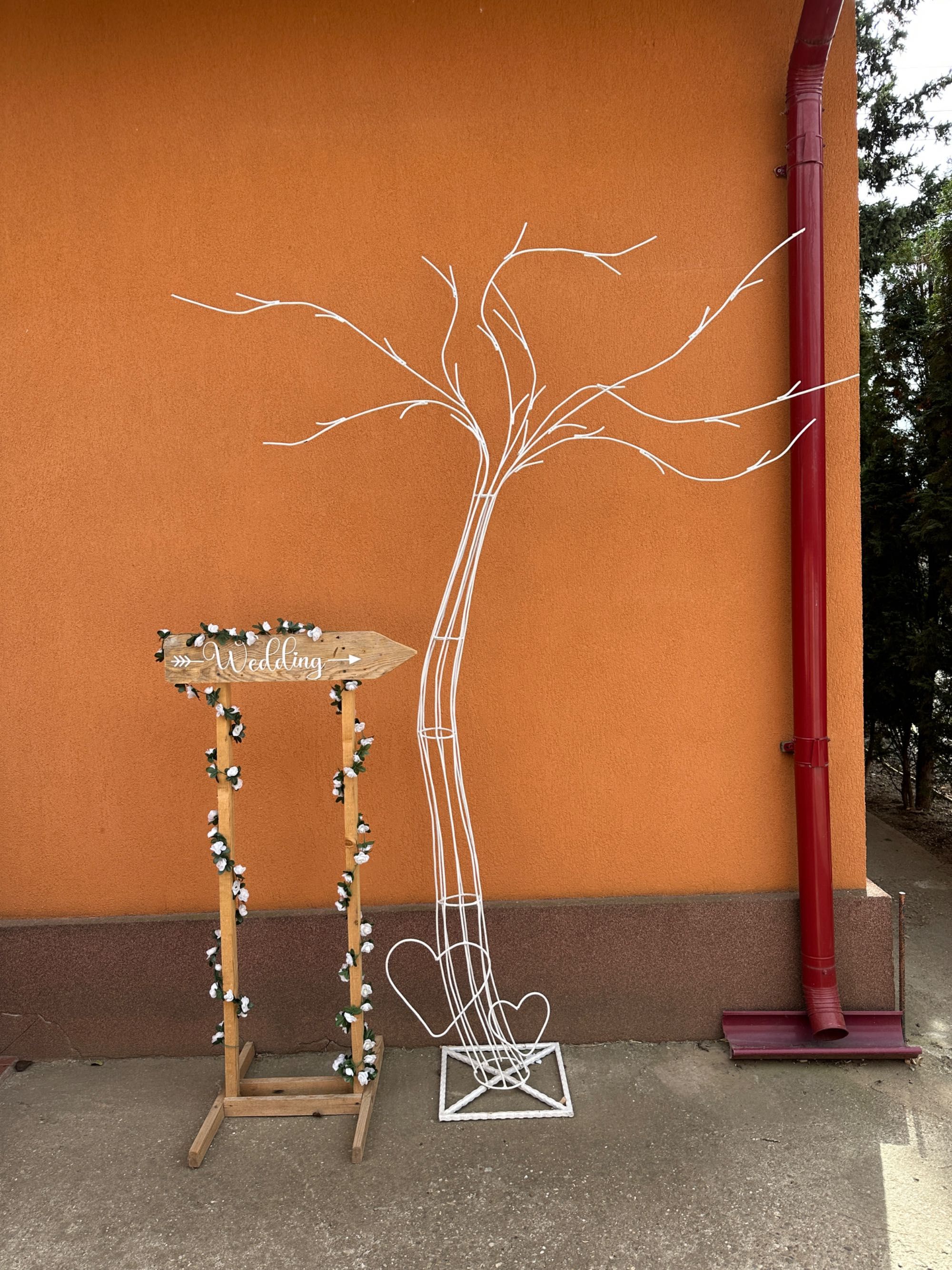 Copac/cires decoratiune nunta
