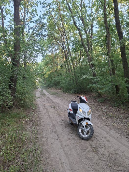 Scuter rivero 49cc