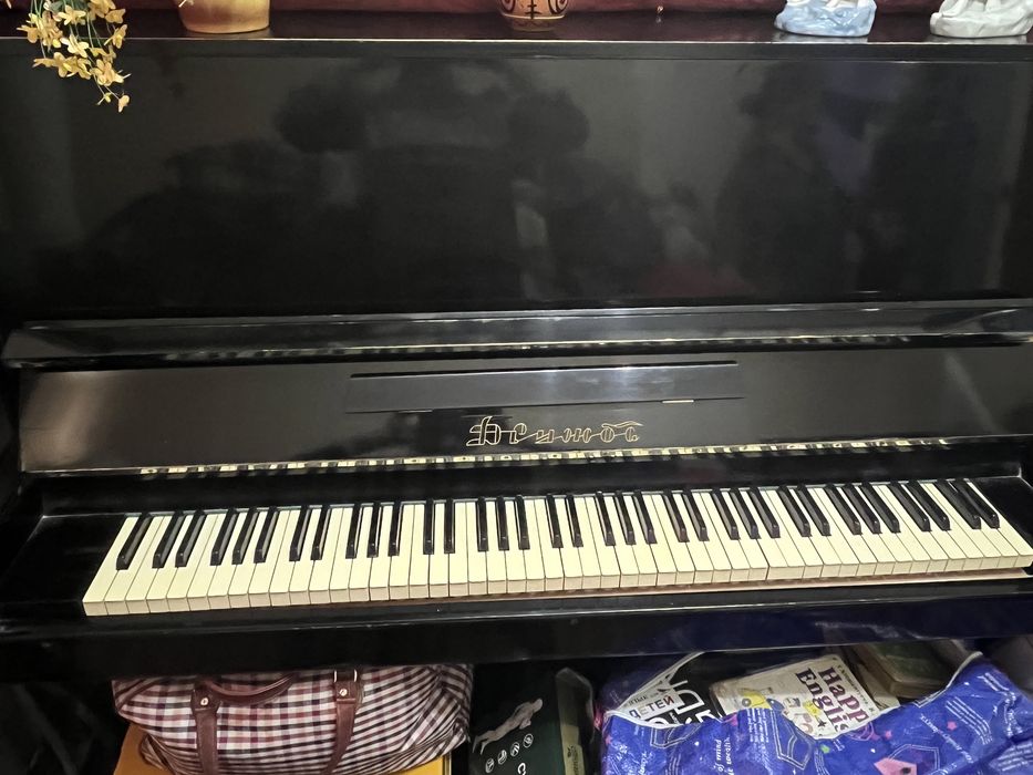 Pianina sotiladi 600ming